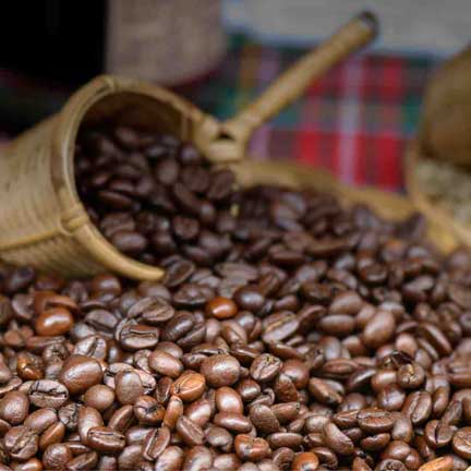 Kopi-Juwara-Coffe-PT-Shuang-Hor-Indonesia-Shuanghor-Indonesia-SH-Juwara-Coffe-Indonesia-Kopi-Plus-Lingzhi-Ganoderma-064